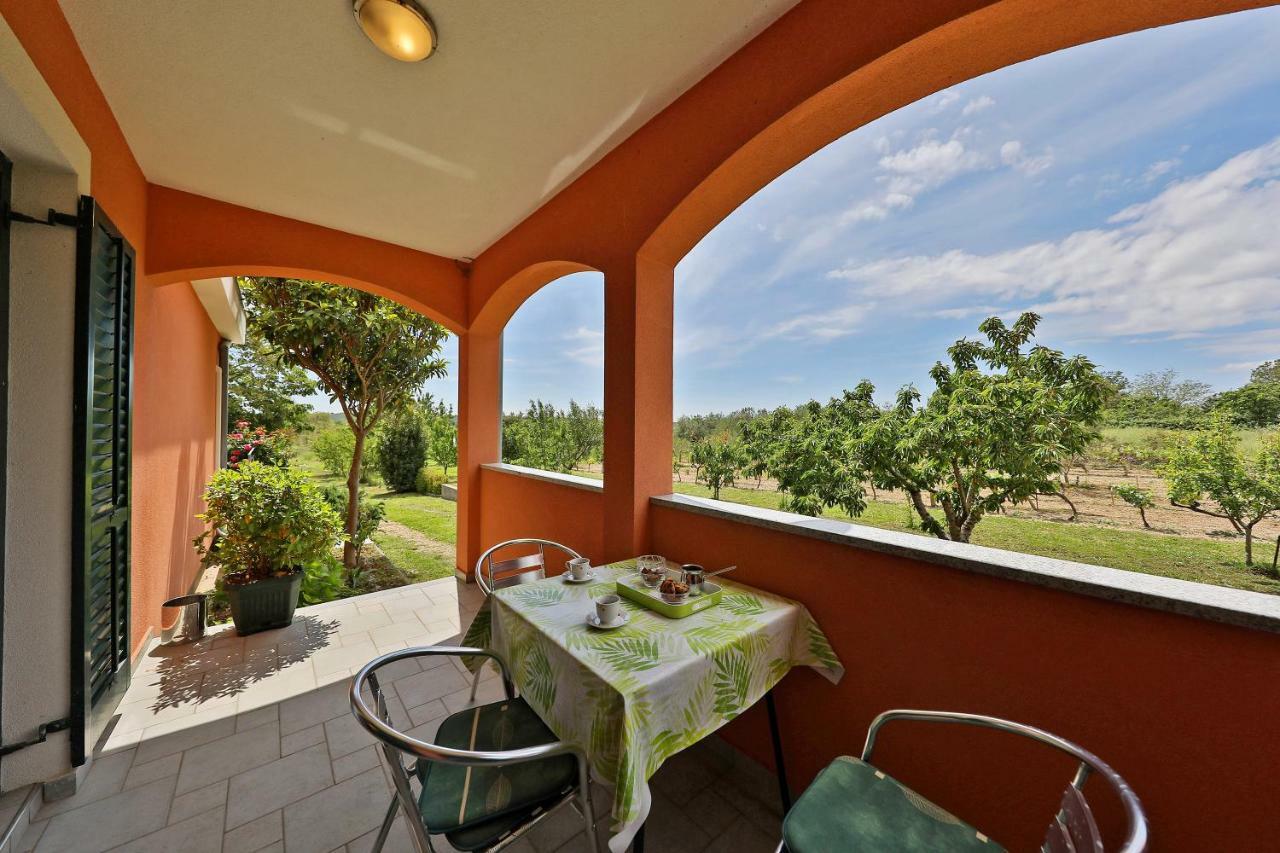 珀塞达耶Easyliving House Near Zadar别墅 外观 照片